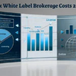 2025 Forex white label brokerage cost breakdown infographic comparing licenses, platforms, and liquidity solutions