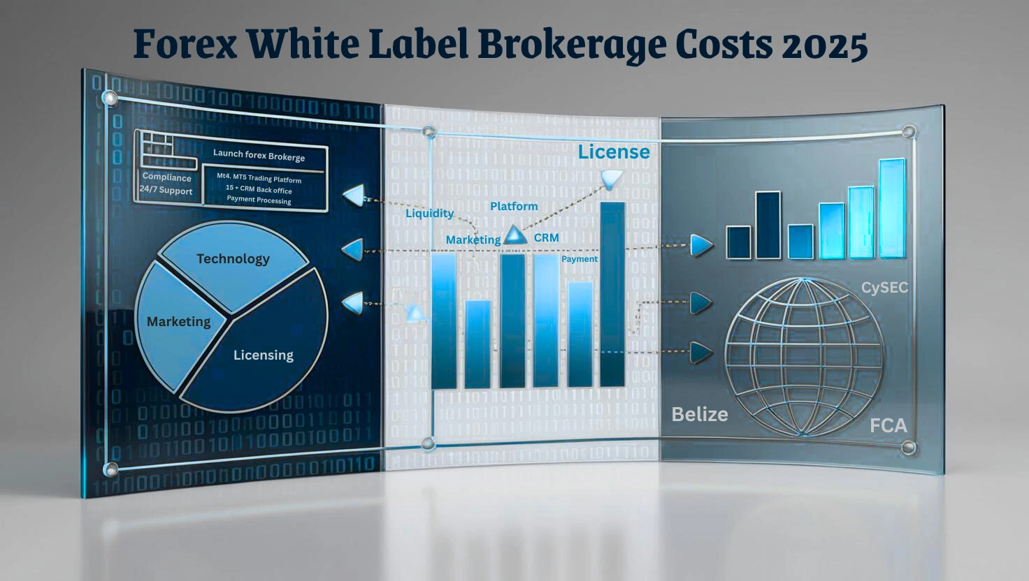 2025 Forex white label brokerage cost breakdown infographic comparing licenses, platforms, and liquidity solutions