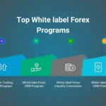 top 7 white label forex program in 2025