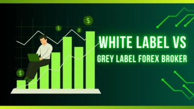 Grey label vs White label Forex broker