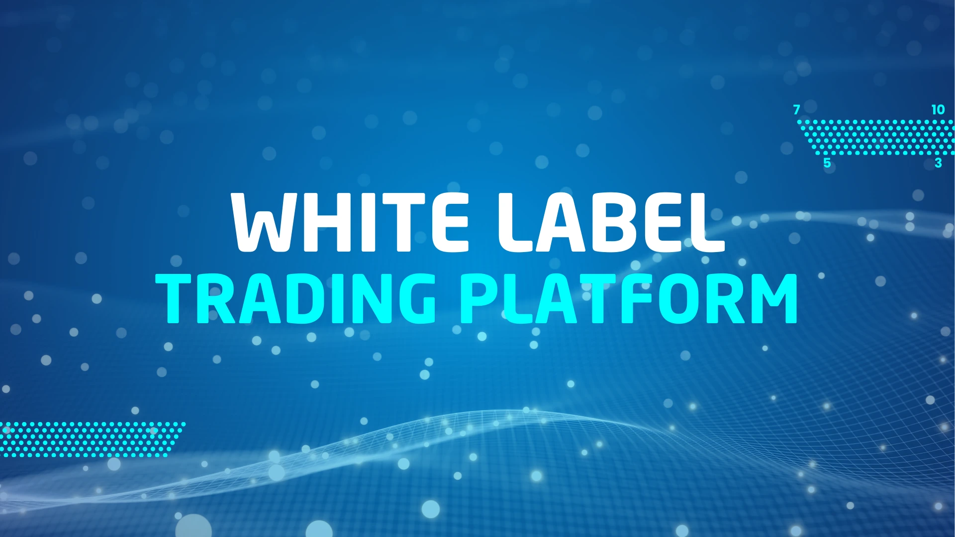 White label Trading Platform