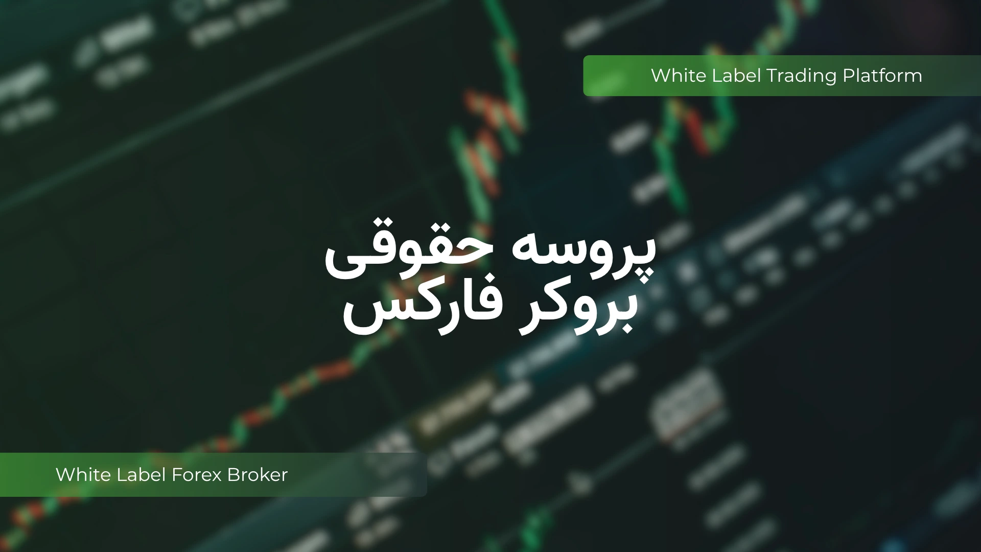 پرراه انداز بروکر فارکر-پروسه حقوقی