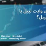 راه ندازی وایت لیبل و مینلیبل بروکرفارکس و کریپتو